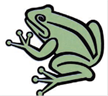 Frog - Illustration of a green frog.