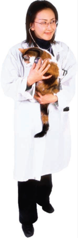 Veterinarian holding a cat with.