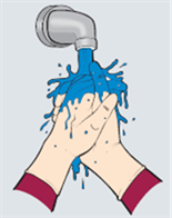 Hands washing under tap