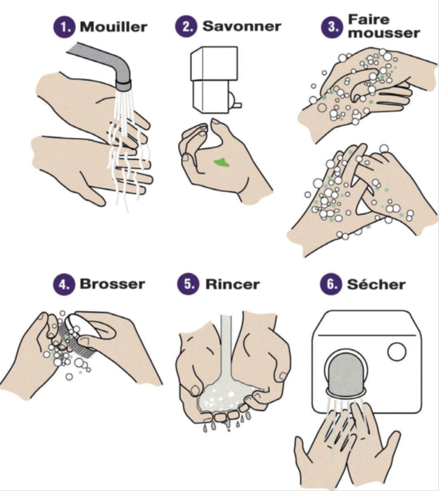 Title: Les tapes pour bien se laver les mains  - Description: L'image montre les diffrentes images pour bien se laver les mains:
